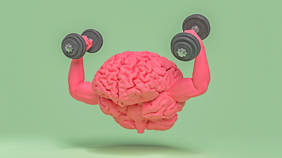 Wie man das Gedächtnis trainiert: Tipps und Techniken zur Verbesserung der Gedächtnisleistung