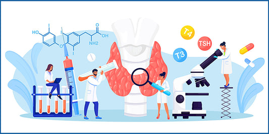 In diesem Artikel entlarven wir die gängigsten Mythen über den Stoffwechsel und geben wichtige Einblicke. - Stoffwechsel, Mythen, Gesundheit, Fitness, Ernährung, Metabolismus, Diät, Körpergewicht, Lebensstil, Aufklärung - Gesund mit ETH Meditec