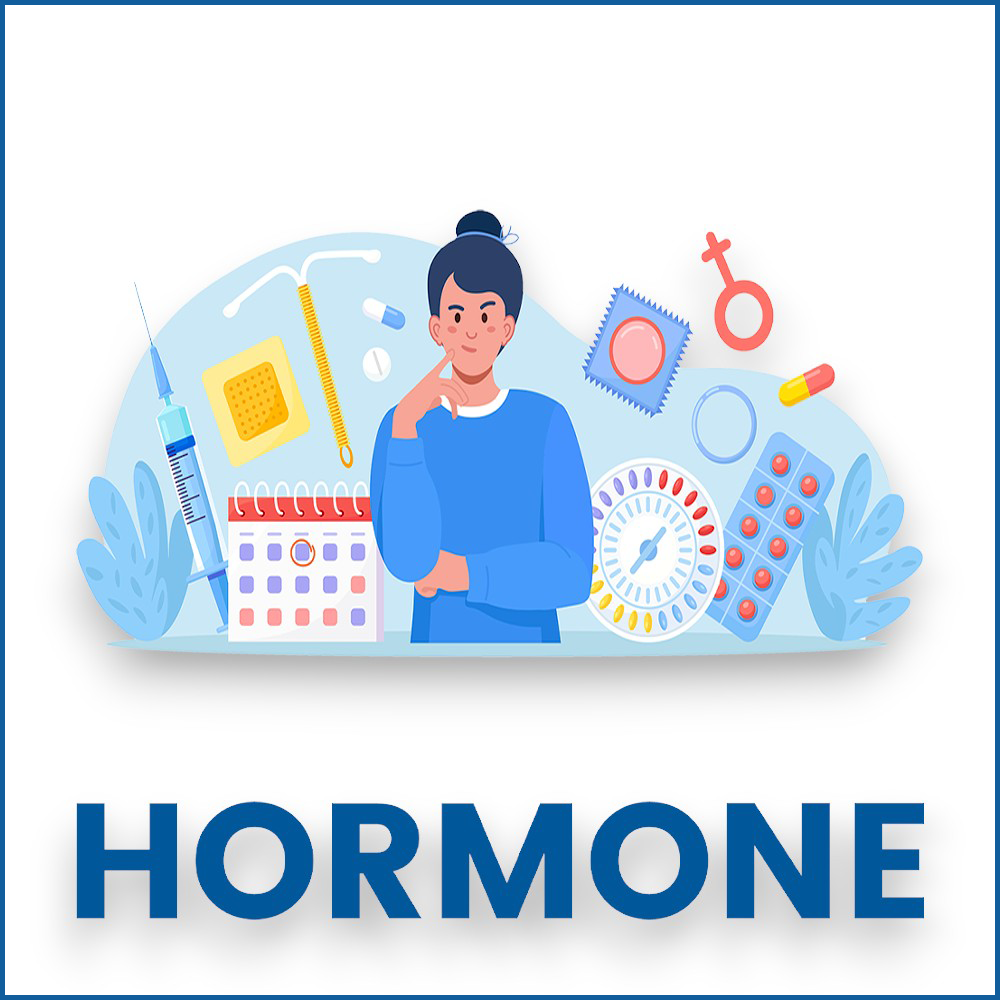 Hormone Testen Lassen Beim Hausarzt