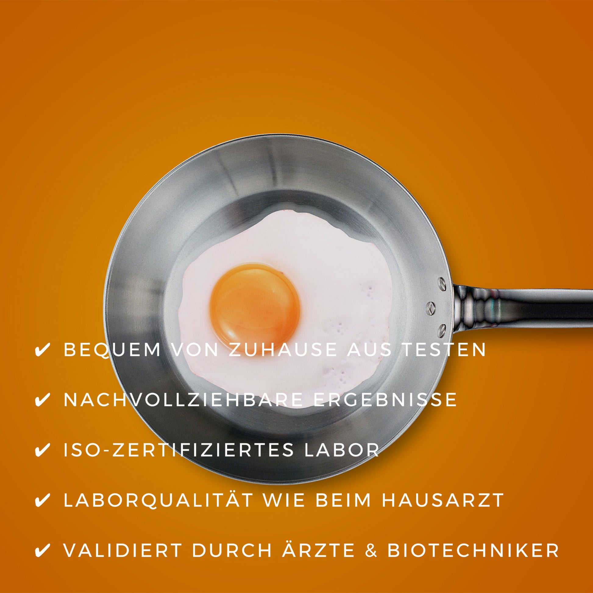 Anleitung zur Durchführung des Tests - cholesterin, selbsttest, anleitung, bluttest, bluebalance, healthykids, methoden, testing, healthmatters, cholesterinwissen, ethmeditec, testdurchführung, gesund leben, selbsthilfe