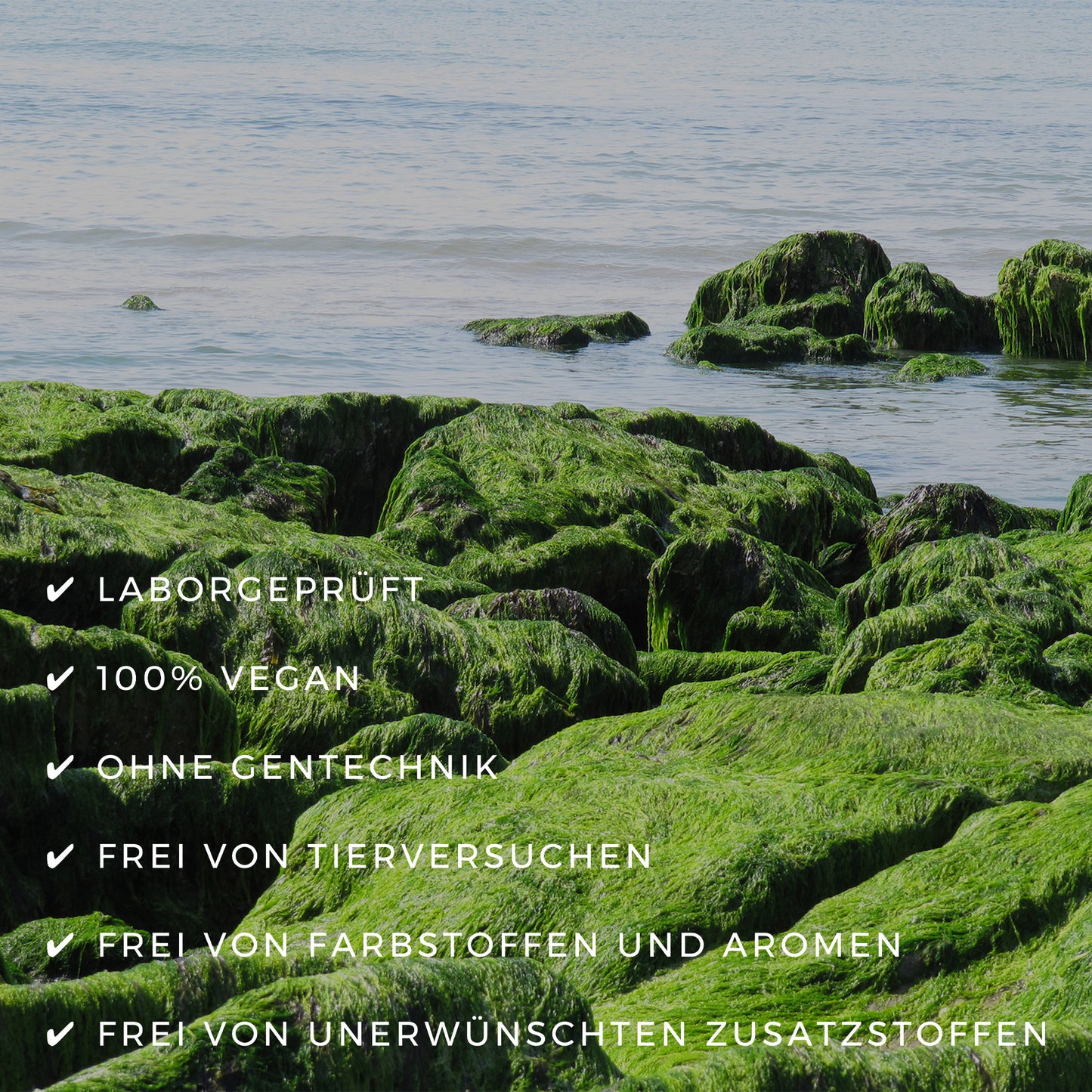 Vegane Omega 3 Kapseln von ETH Meditec - Algen Omega 3, OMEGA 3, Supplements, vegane Kapseln, Nahrungsergänzung, gesunde Fette, DHA, EPA, Herzgesundheit, Gehirnfunktion, NATURALS, Unterstützung, VIOVIA, blue balance, ETH Meditec