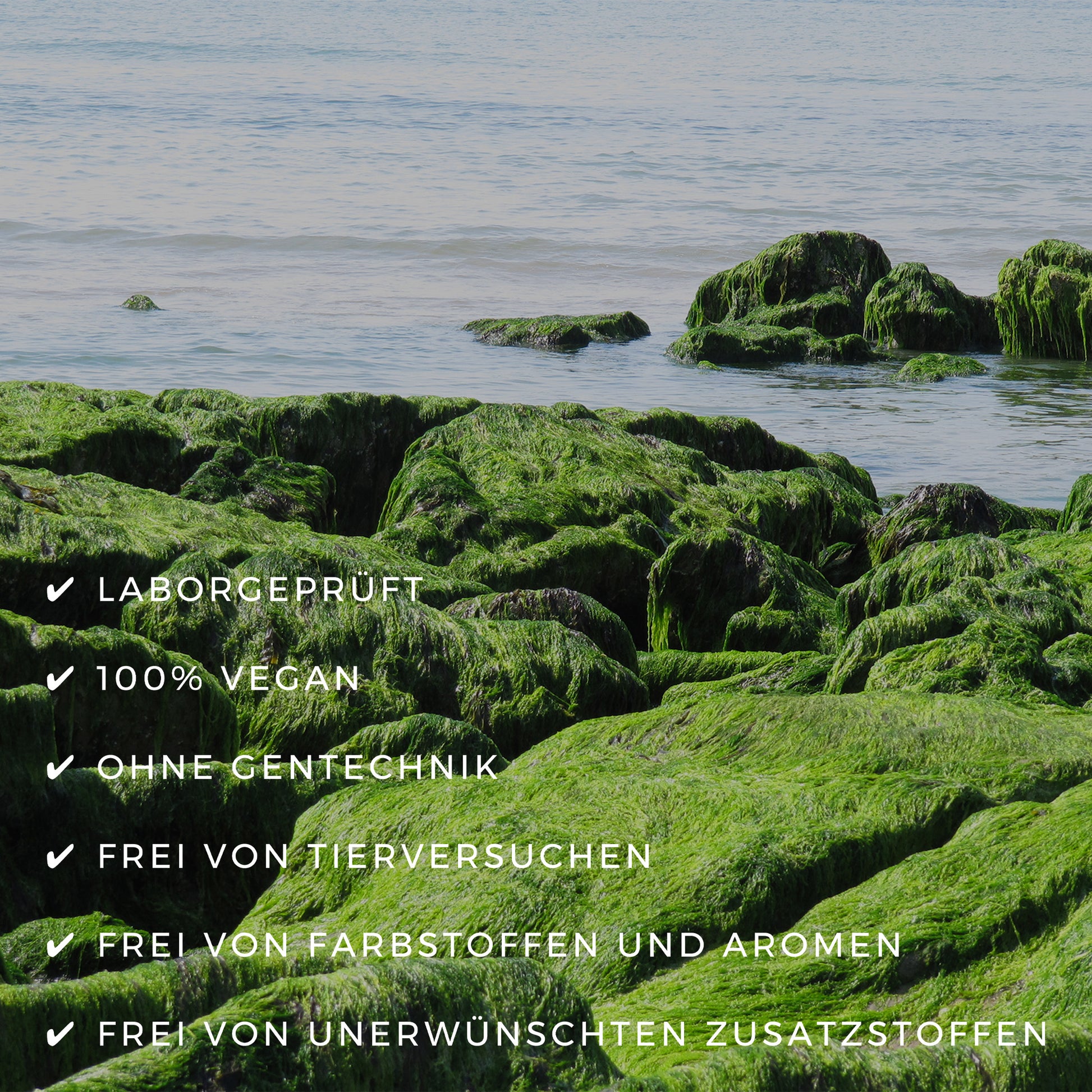 Vegane Omega 3 Kapseln von ETH Meditec - Algen Omega 3, OMEGA 3, Supplements, vegane Kapseln, Nahrungsergänzung, gesunde Fette, DHA, EPA, Herzgesundheit, Gehirnfunktion, NATURALS, Unterstützung, VIOVIA, blue balance, ETH Meditec