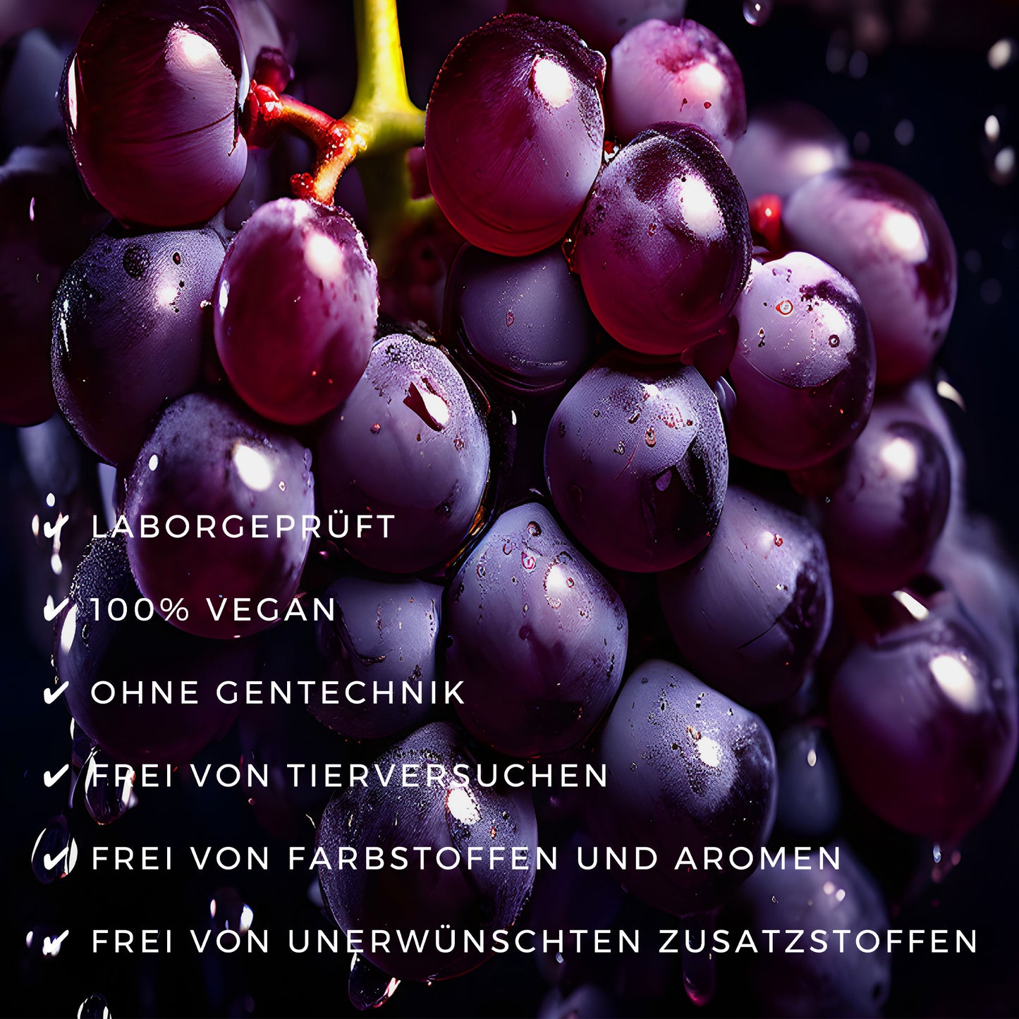 Vorteile von OPC für Ihre Vitalität - OPC, Nahrungsergänzung, Supplements, ETH Meditec, Gesundheit, Vitamine, Antioxidantien, Traubenkernextrakt, Zellschutz, Blutzirkulation, blue balance, Körperpflege, Vitalität, Fitness