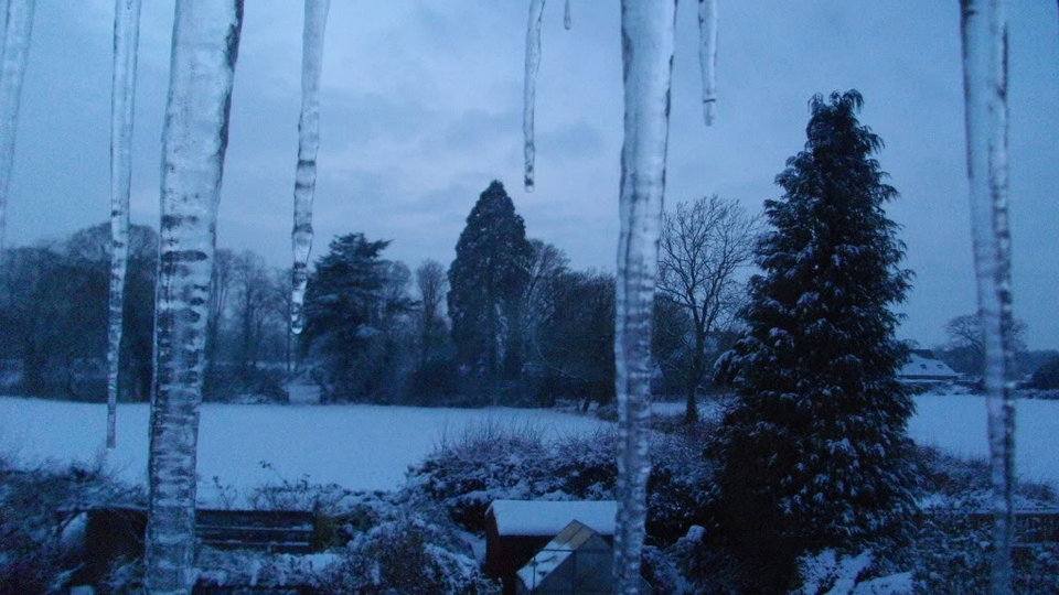 Winterblues adé! Mit diesen Vitaminen trotzen Sie der tristen Jahreszeit!