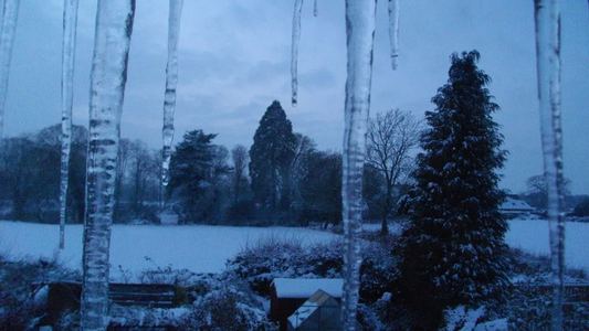 Winterblues adé! Mit diesen Vitaminen trotzen Sie der tristen Jahreszeit!