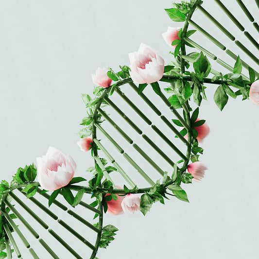 Die DNA ist der genetische Code, der für unsere körperlichen Merkmale und Funktionen verantwortlich ist.