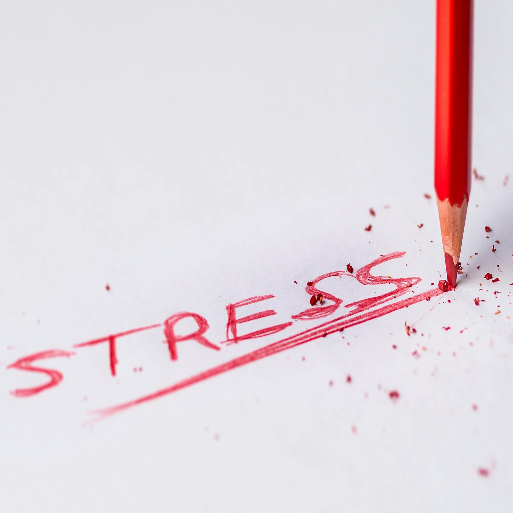 Stress führt zu einer erhöhten Freisetzung von Cortisol