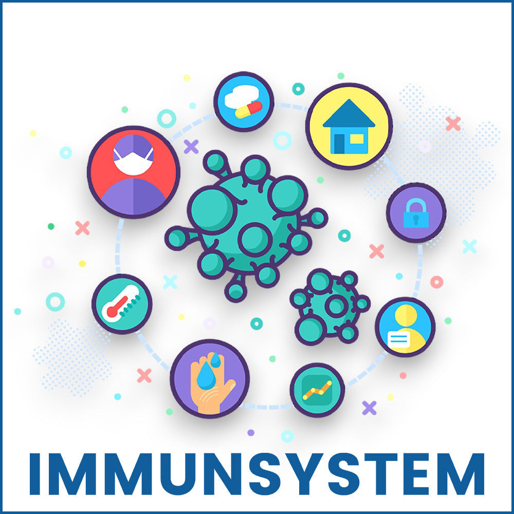 Stärken Sie Ihr Immunsystem mit unseren Tests für Zuhause! Nutzen Sie den Vitamin D Test, Holo B12 Test und weitere Selbsttests von ETH Meditec für Ihre Gesundheit und Wohlbefinden.