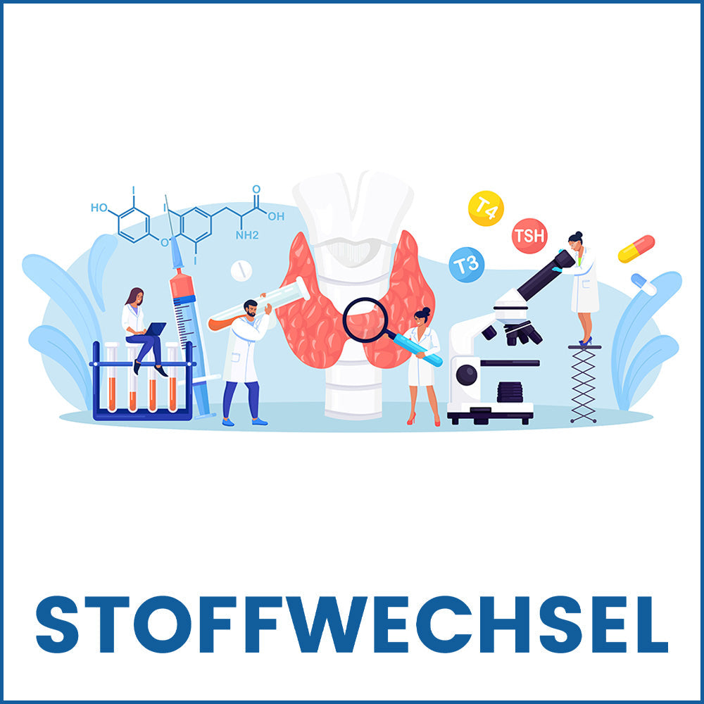 STOFFWECHSEL - VERSTEHEN UND OPTIMIEREN