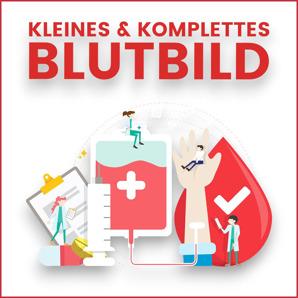 Blutuntersuchung mit kleinen und großen Blutbild - blutbild, kleines blutbild, großes blutbild, nutri gene, selbsttest, gesundheitstests, blutuntersuchung, eth meditec, gesundheitsvorsorge, heimatdiagnosetests, blutwertanalyse, gesund bleiben