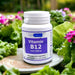 ETH Meditec Gruppe präsentiert: blue balance® Vitamin B12 EXTRA - Vegane Vitalitäts- und Nervenkraft, Produktansicht 1 von 4